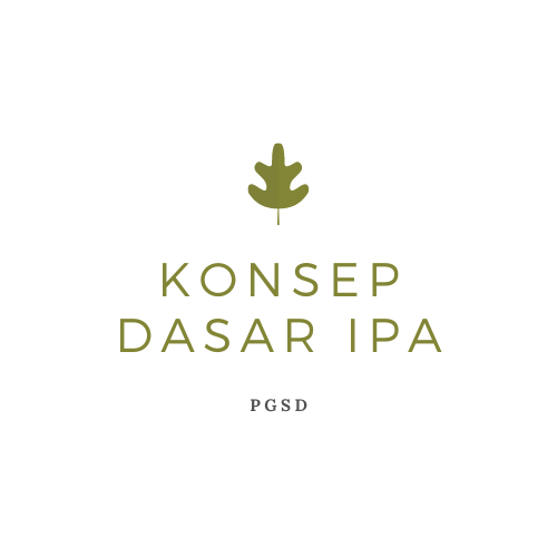 KONSEP DASAR IPA 2025 B